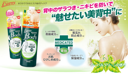 日本問屋直發 日本化妝品批發 SANA Esteny系列 薄荷祛痘沐浴露 - 日本問屋直發 日本化妝品批發 SANA Esteny系列 薄荷祛痘沐浴露廠家 - 日本問屋直發 日本化妝品批發 SANA Esteny系列 薄荷祛痘沐浴露價格 - TOKUSYOU TRADE CO. - 